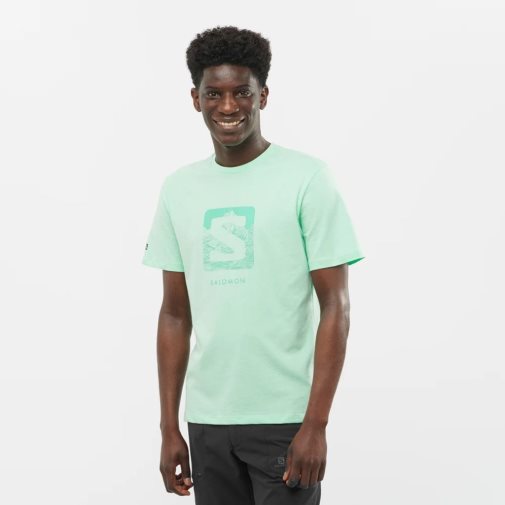 Camiseta Salomon Outlife Logo Curta Sleeve Masculino Menta | PT K46385